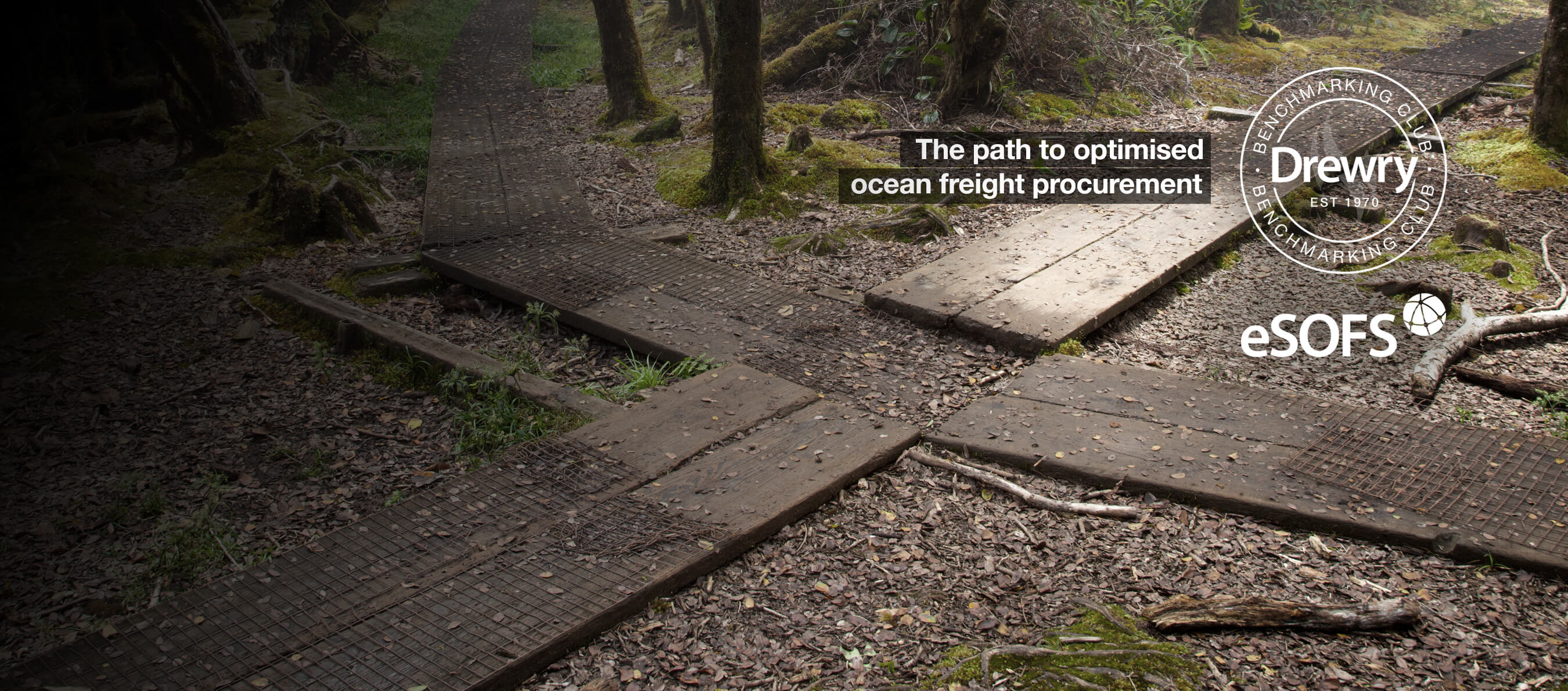 /AcuCustom/Sitename/DAM/017/Optimised_Ocean_Freight_Procurement_Solutions_-_Drewry_Suppl.pdf