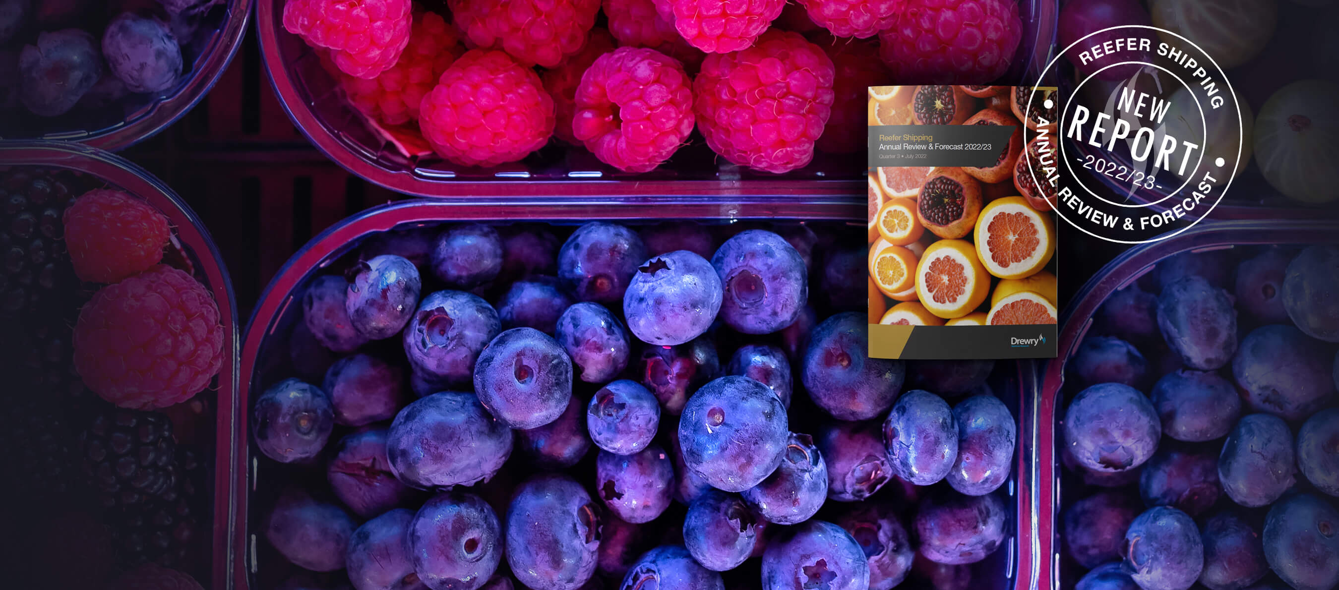 /maritime-research-products/reefer-shipping-annual-review-and-forecast-202223